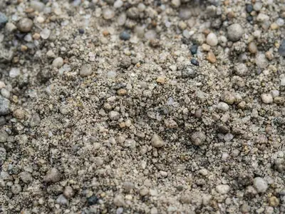 Sand 0/4 gewaschen – Nahaufnahme der Körnung
